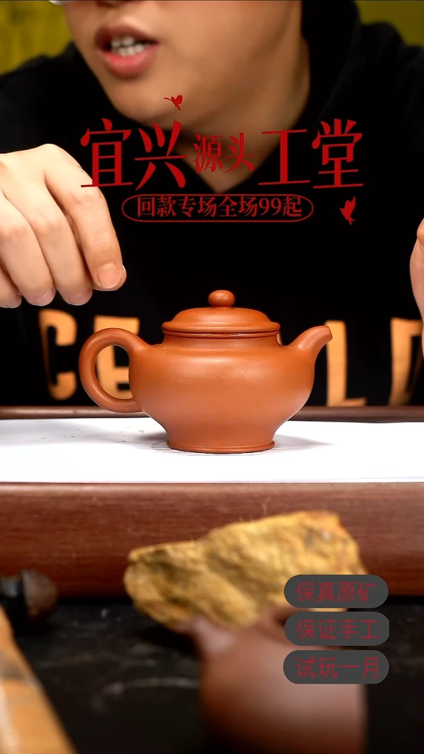 茶壶紫砂WH赵庄朱泥掇只