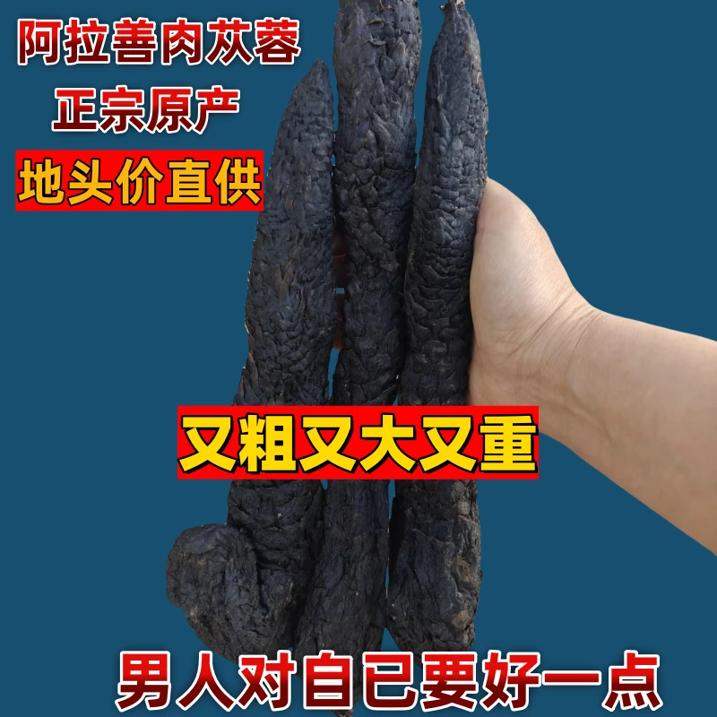 精选大根肉苁蓉油苁蓉内蒙阿拉善肉苁蓉大芸丛蓉切片泡水泡酒料