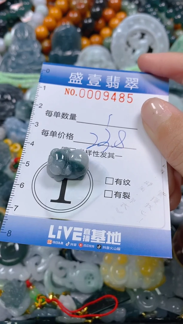 颈饰未镶嵌翡翠闪购0009485