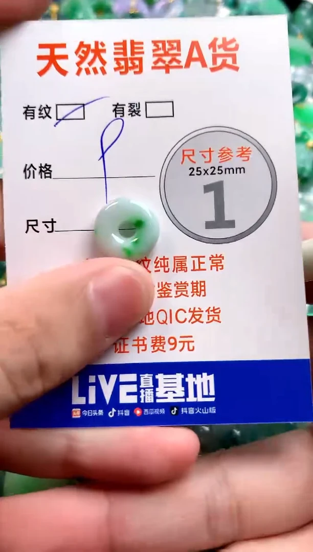 颈饰未镶嵌翡翠25101131