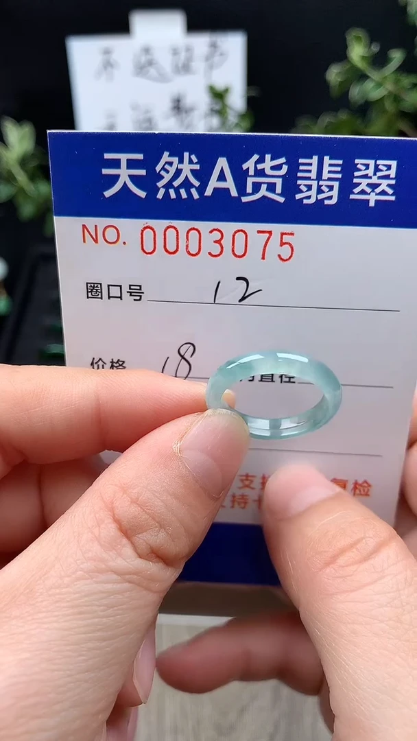 未镶嵌戒指翡翠12#