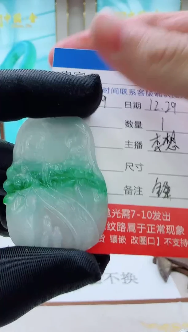 未镶嵌定制翡翠LX69翡翠吊坠赠珠链-多样性发其一