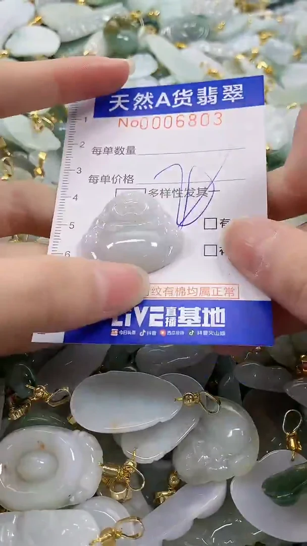 颈饰未镶嵌翡翠纯天然a货翡翠