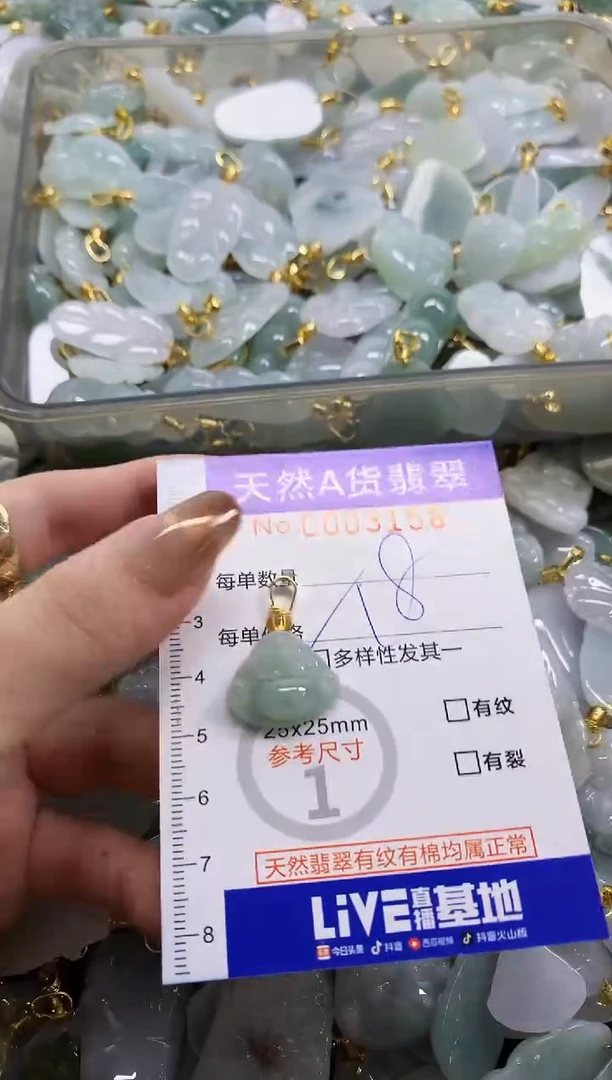 颈饰未镶嵌翡翠天然A货翡翠