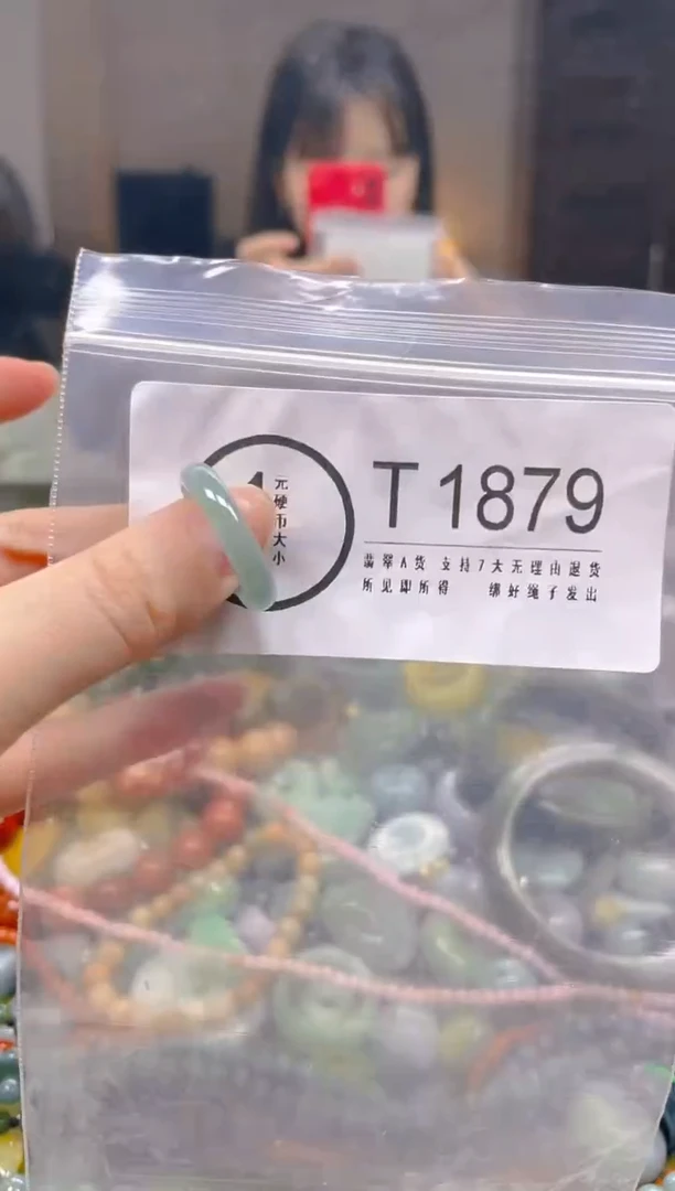 翡翠未镶嵌颈饰19.3/T/翡翠A货一图一物