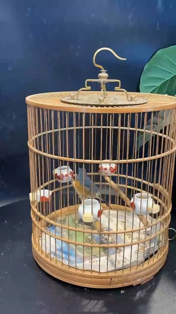 85号 山岚  养笼0元起拍