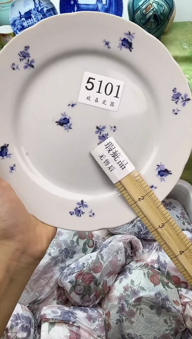 瓷片高****L           5101