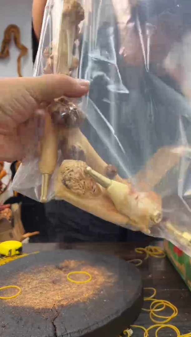 黑果木其他黑果木247