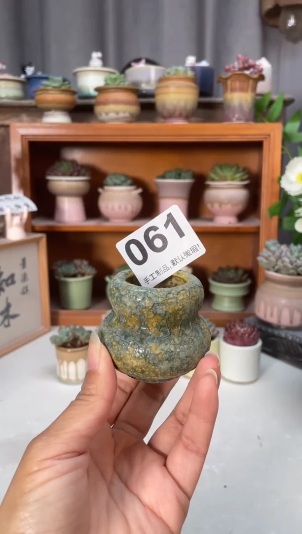 瓷片061小芳直播编号