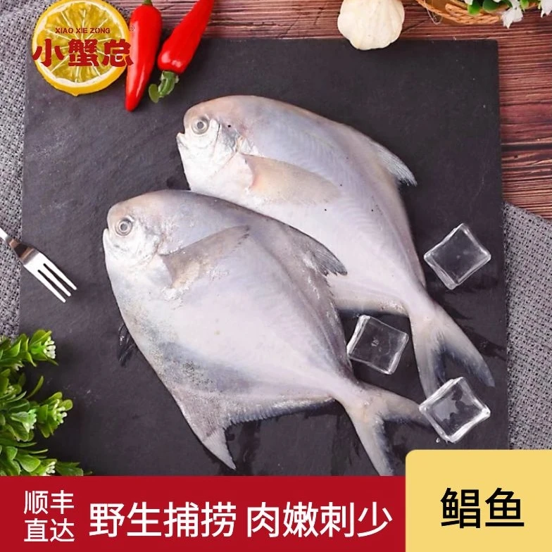 东海银鲳鱼渔场海捕深海鲜活速冻肉质美味当季捕捞顺丰包邮