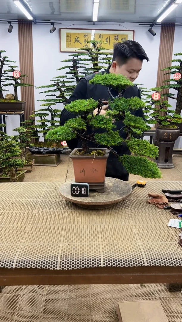 【闪购商品】000000000