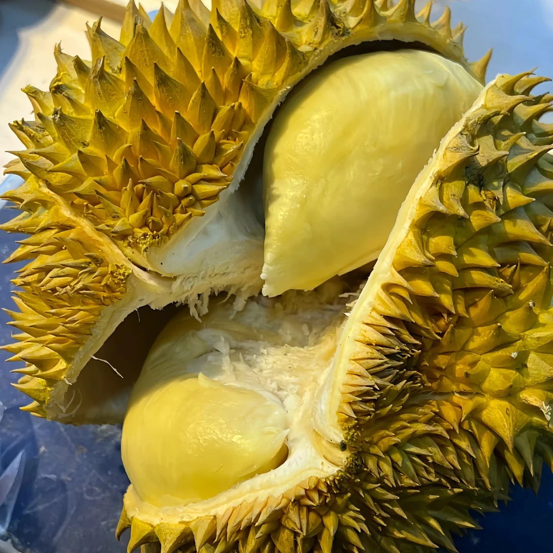 （04）金枕鲜榴莲（1500g —4000g)核小榴莲同城配金枕泰国