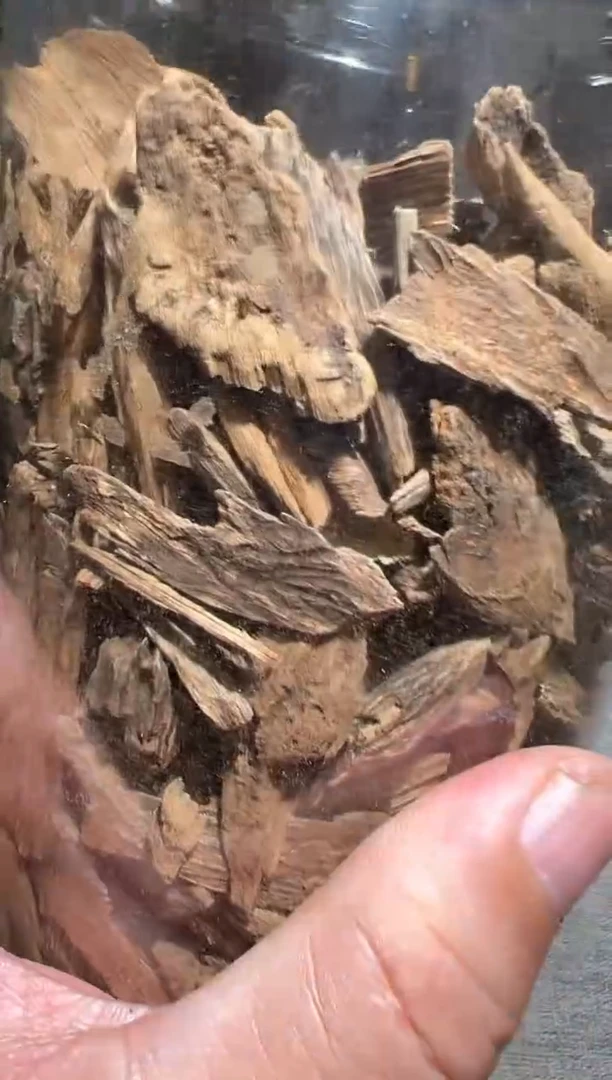 沉香沉香碎屑达拉干10克