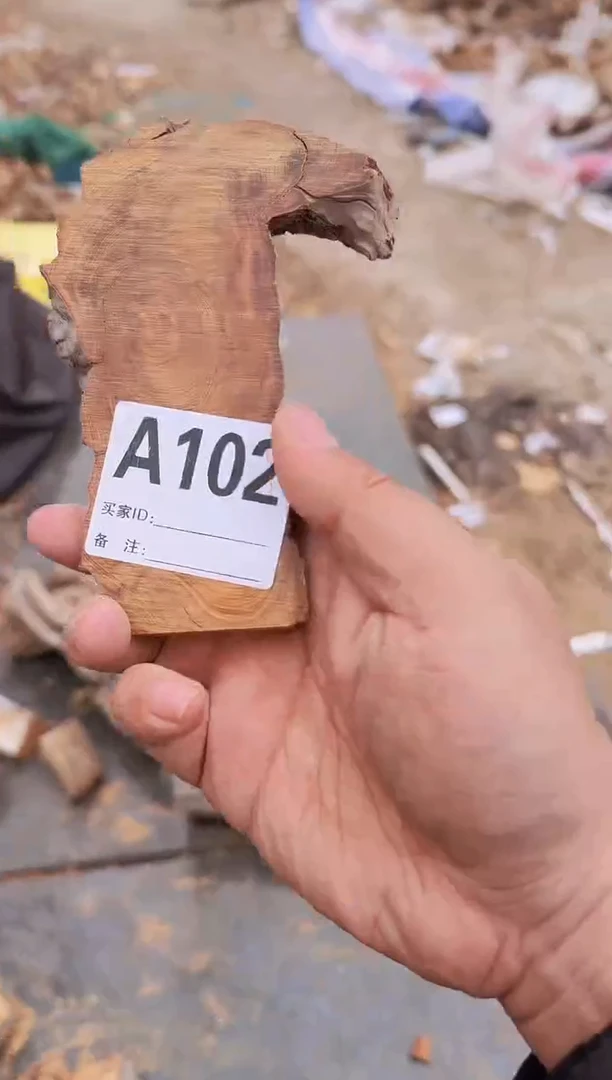 【闪购商品】柏木（崖柏）太行陈化崖柏一片