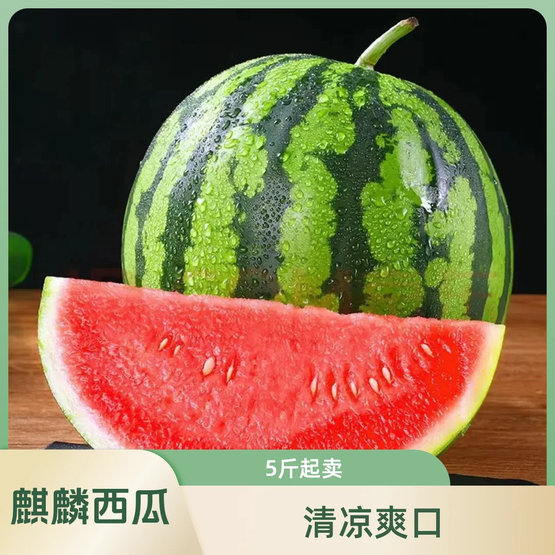 【麒麟】大西瓜，清凉爽口7斤起新鲜甜还多汁江苏省