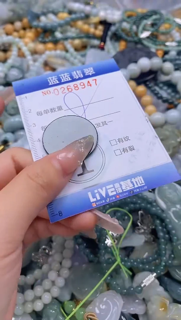 翡翠未镶嵌颈饰闪购0268947