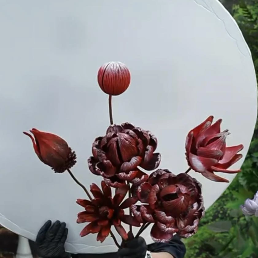 【红色果壳花】干花永生花不含瓶 果壳运输可能会掉落介意慎拍
