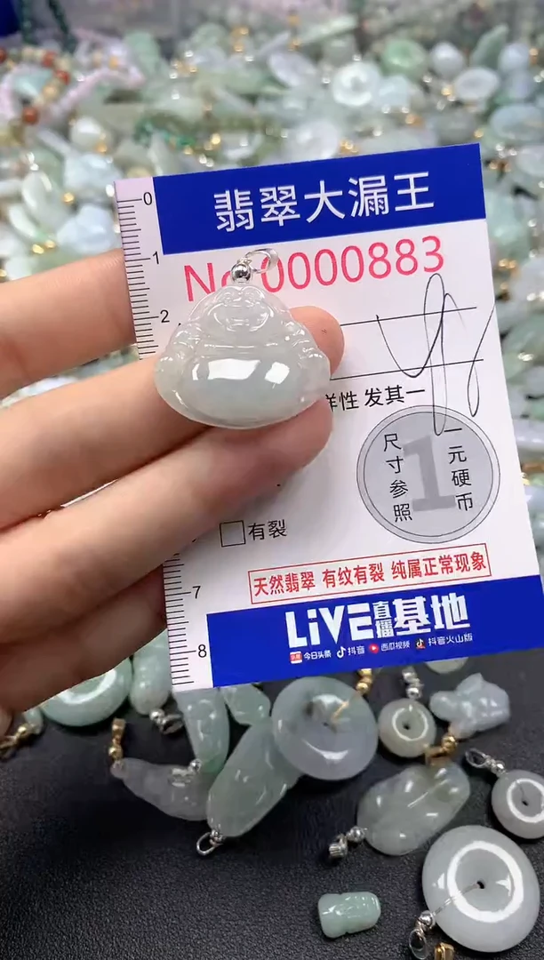 翡翠未镶嵌吊坠(不含链)883