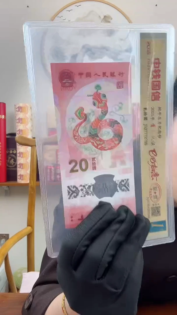 【闪购商品】塑料2025年蛇年生肖纪念钞【豹子头】