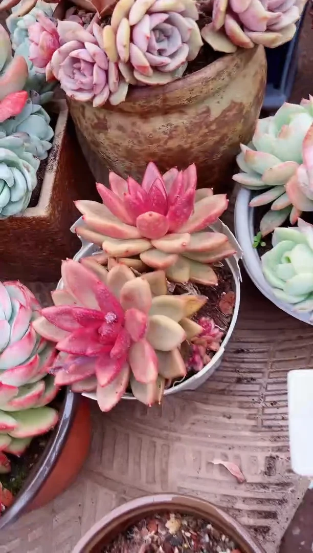 【闪购商品】07271