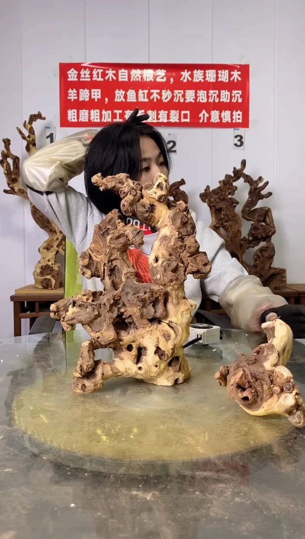 【闪购商品】木30金丝红木 羊蹄甲 2