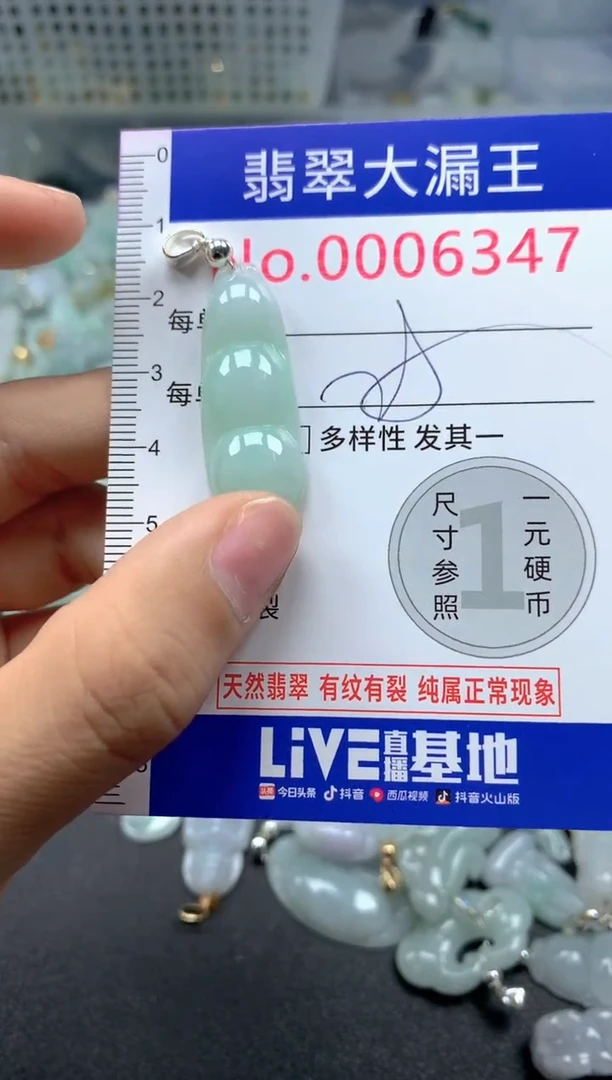 颈饰未镶嵌翡翠6348