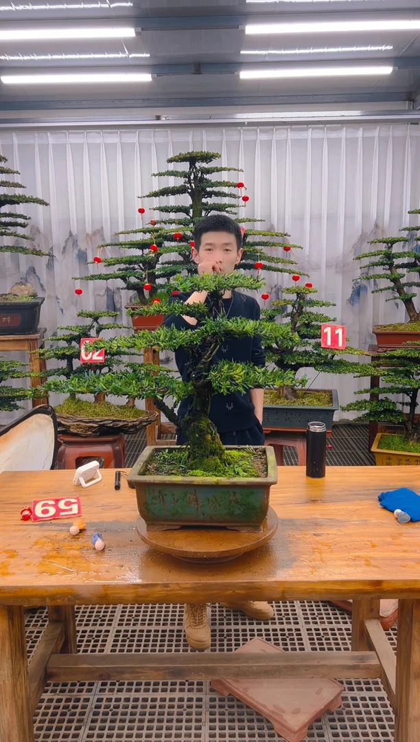 【闪购商品】紫砂精品盆景直播间一物一拍