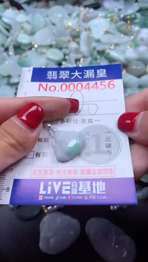 颈饰未镶嵌翡翠4456