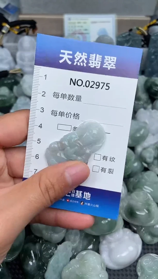 颈饰未镶嵌翡翠纯天然A货翡翠2975