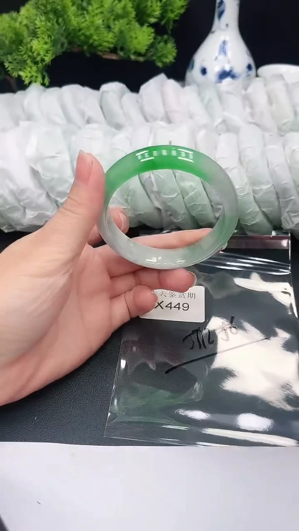 未镶嵌手镯翡翠449
