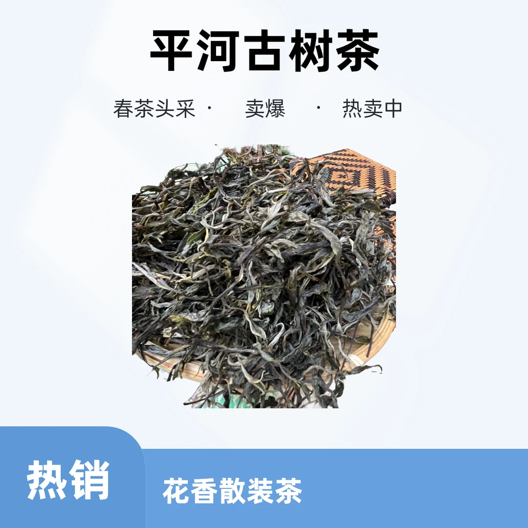 平河2025古树普洱茶头春头採，500 g散装花香
