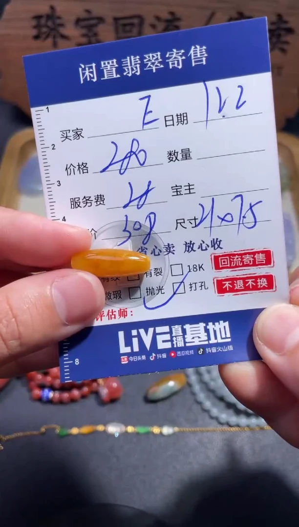 颈饰未镶嵌翡翠E****d30