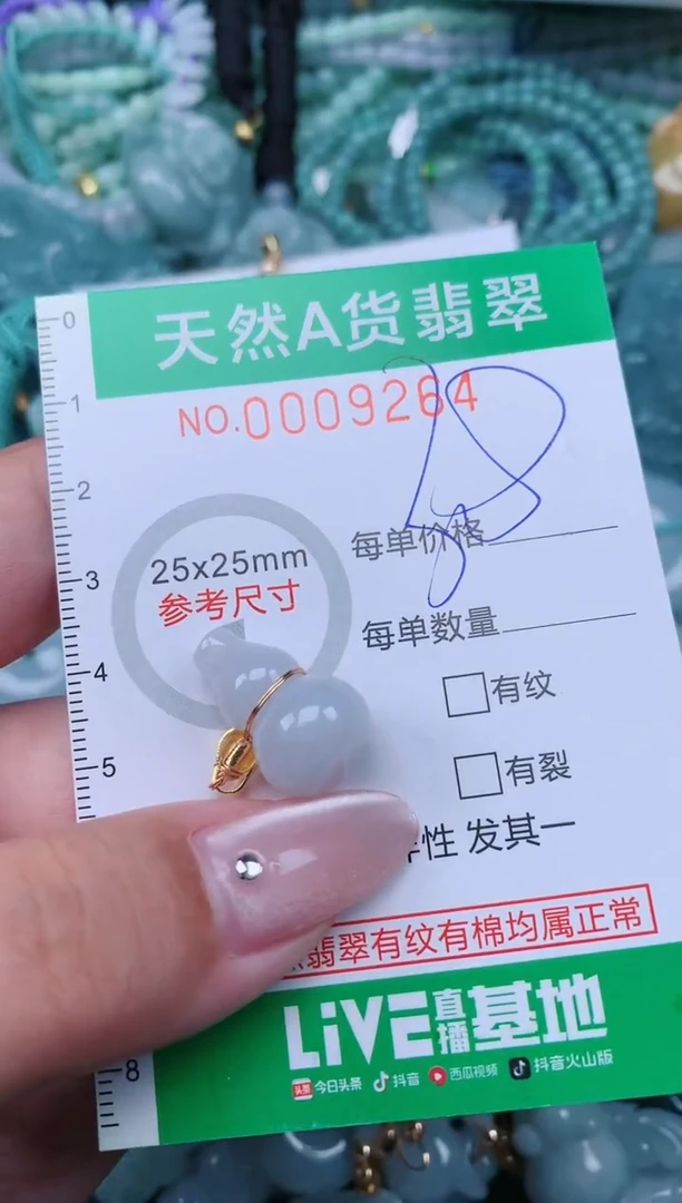 翡翠未镶嵌颈饰.0009264