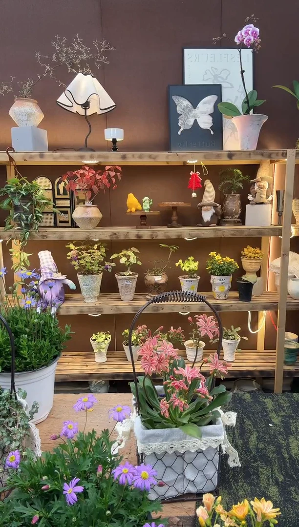 无花朵309露微加篮子一套