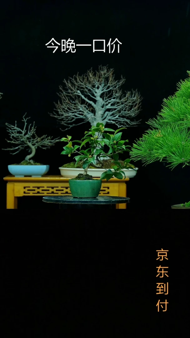 【闪购商品】00000.