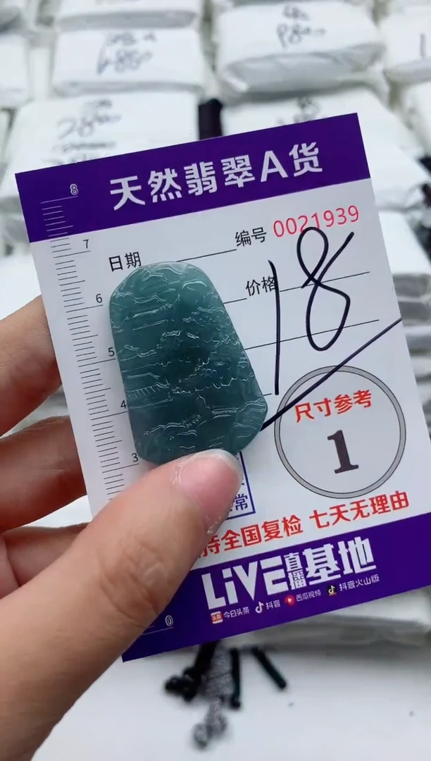 翡翠未镶嵌颈饰888888888