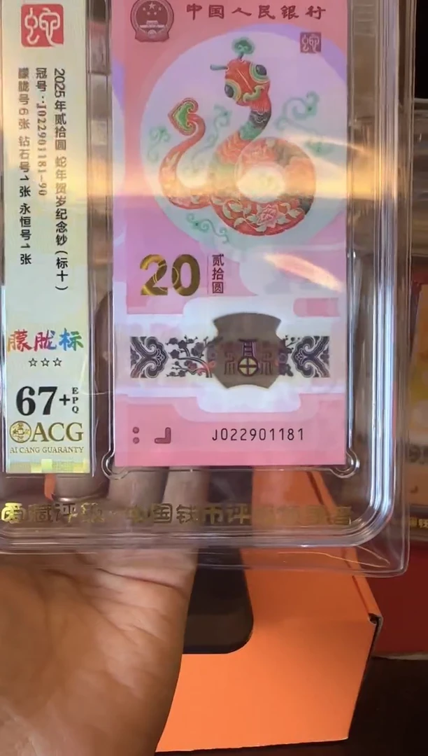 塑料2025蛇钞 爱藏 标十  啊啊啊啊
