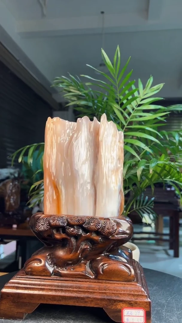 未镶嵌硅化玉（树化玉）珠宝奇石2312