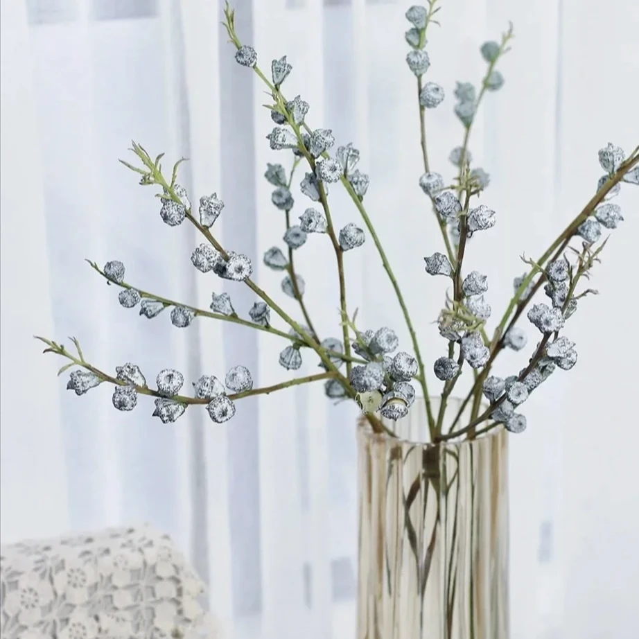 【大聪明卖花】尤加利果果实类花材云南直发鲜花插花鲜花家养鲜花