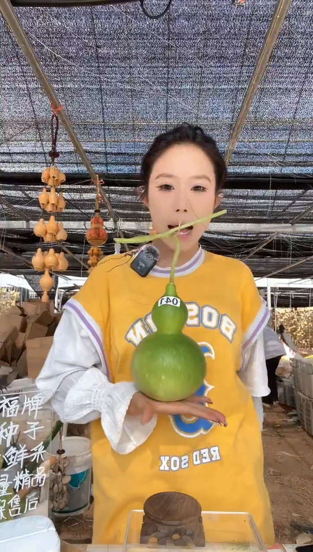 041天然葫芦摆件 一物一拍龙头不保售后