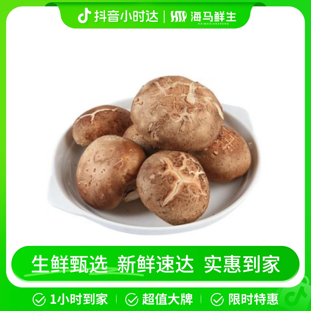 鲜香菇（约500g）鲜香菇
