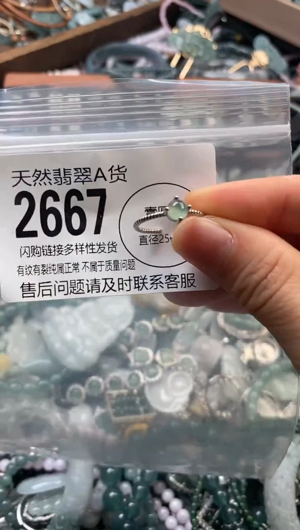 颈饰未镶嵌翡翠翡翠2667