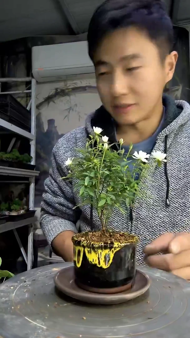 ?**?中青园艺一物一拍491