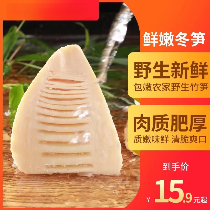 冬笋新鲜笋江西特产农家自制笋尖鲜嫩笋野生脆笋大块笋春笋鲜脆爽