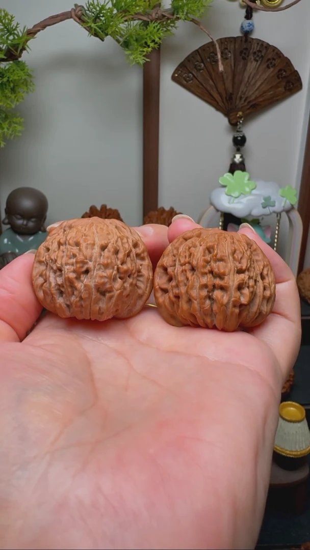 文玩核桃把件蓟县一代四座楼狮子头货头 边38