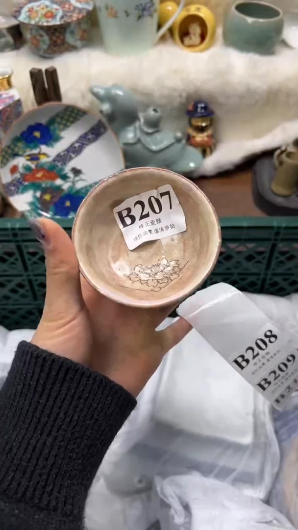 【闪购商品】瓷片          B207