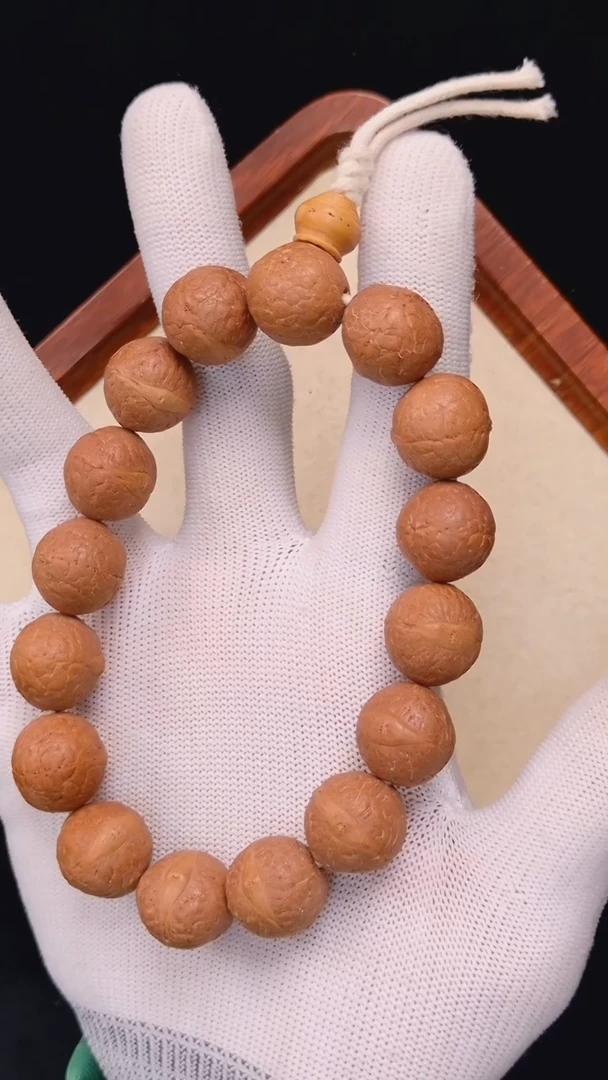 手串凤眼菩提16.5+mm尼泊尔凤眼单仓同树原籽