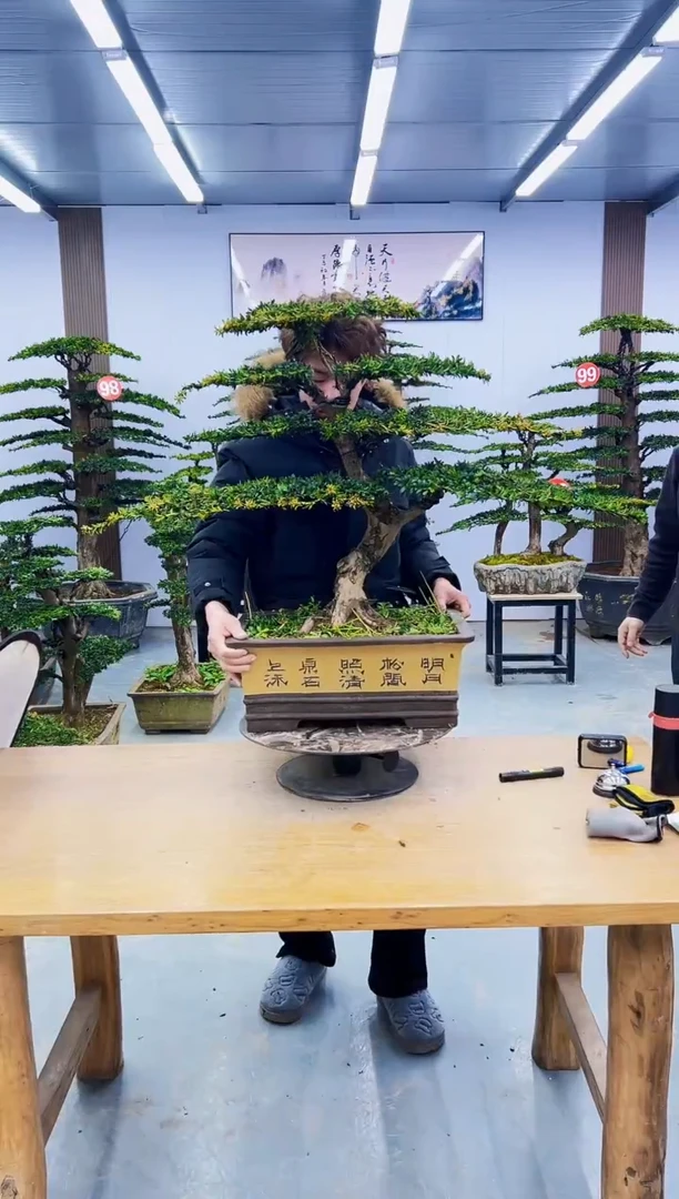 无花朵0000000000000000