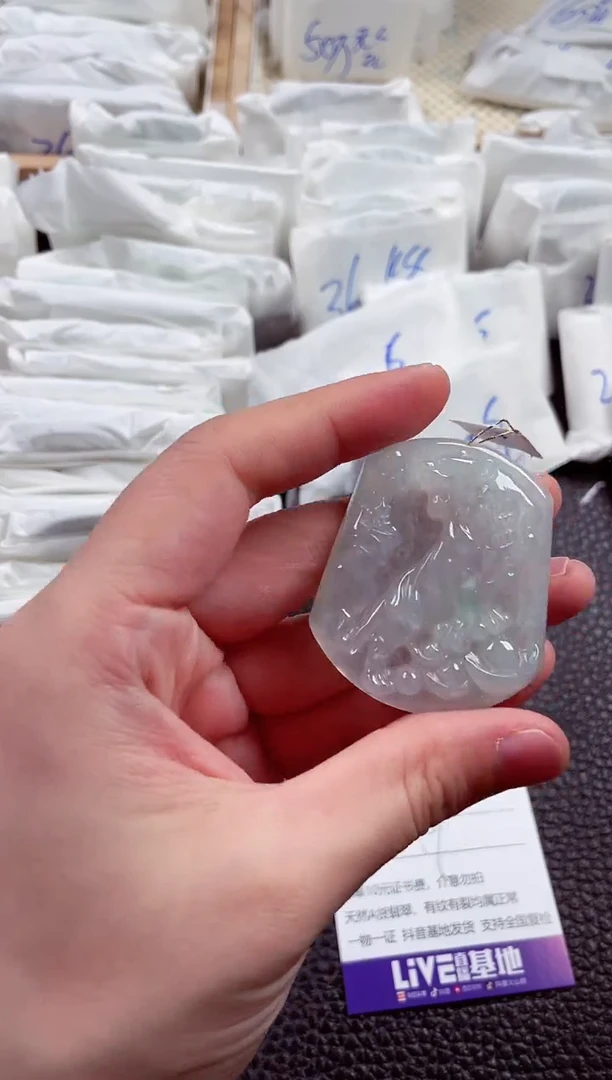 翡翠未镶嵌颈饰00004148