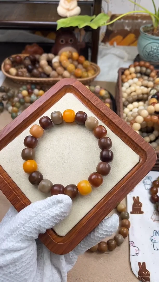 手串菩提根/象牙果a131卡14 干磨火烧云孔一般